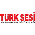 Türk Sesi Gazete